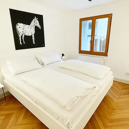 Ferienwohnungen Wassergasse Apartment Regensburg